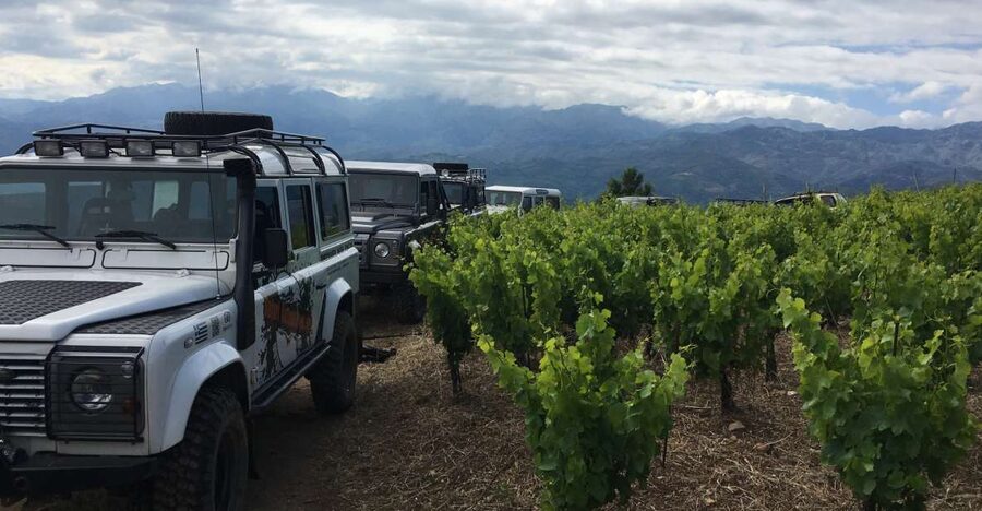 Private Exclusive Manousakis Winery and Vineyard Tour - Key highlights worth circling on your map