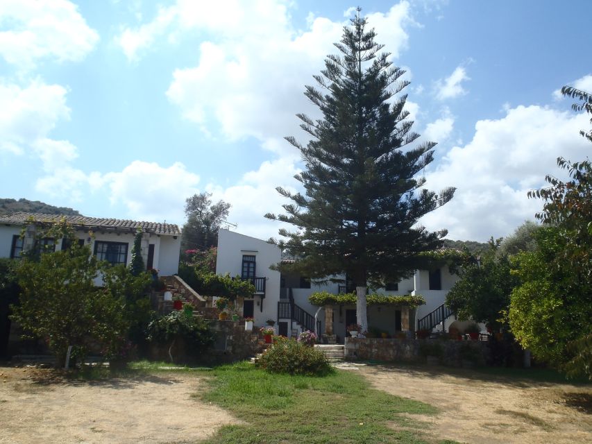 Private Exclusive Manousakis Winery and Vineyard Tour - Lunch included: why it changes the whole tasting experience