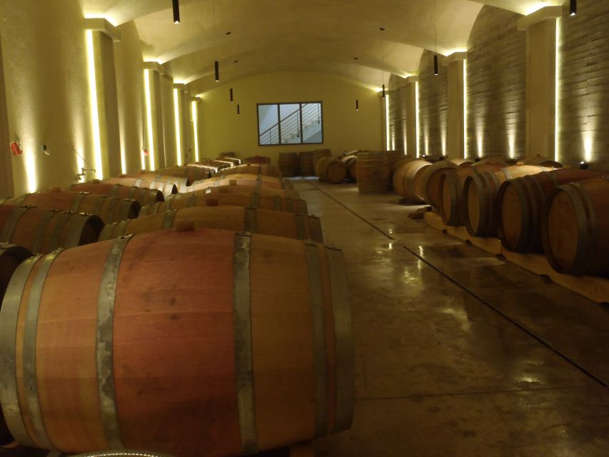 Private Exclusive Manousakis Winery and Vineyard Tour - Panoramic stops and the return to Chania