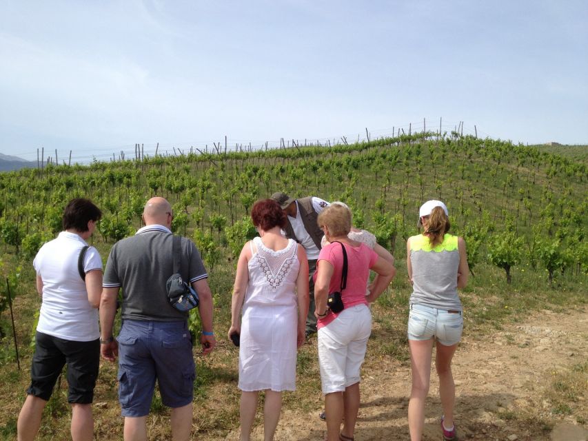 Private Exclusive Manousakis Winery and Vineyard Tour - Price and value: $565 per group up to 4