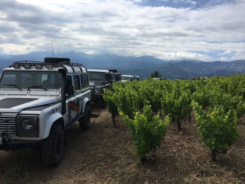 Private Exclusive Manousakis Winery and Vineyard Tour - The climb from Chania: pickup, scenic drive, and the 4x4 switch