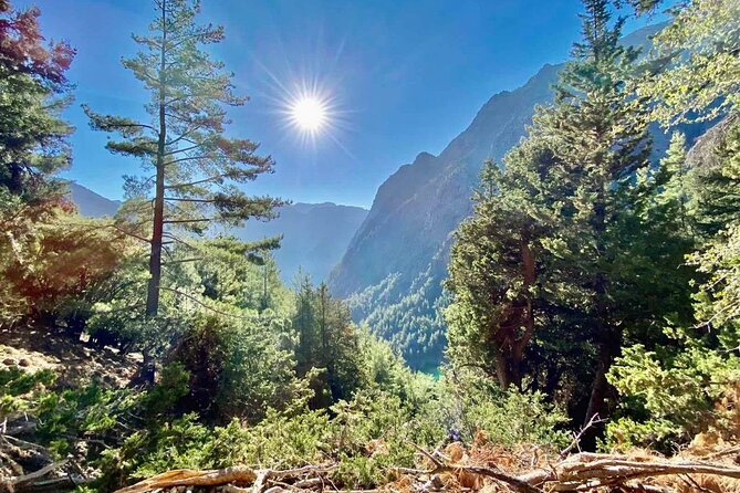 Private Roundtrip Transfer from Chania to Samaria Gorge Park - Agia Roumeli beach break: swim, refuel, repeat