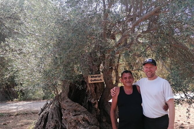 Rethymnon Olive Tree Sponsorship Protect and Plant Tour - Rethymnon’s olive grove visit starts with an easy meet-up