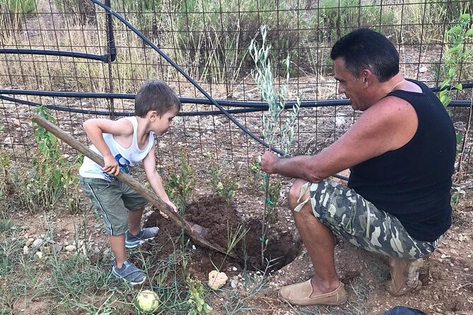 Rethymnon Olive Tree Sponsorship Protect and Plant Tour - If you choose Cretan Lazarus: planting instead of only sponsoring