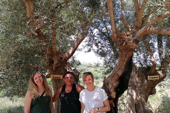 Rethymnon Olive Tree Sponsorship Protect and Plant Tour - What you learn about old olives and climate protection