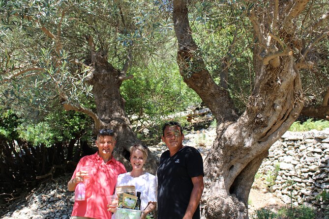 Rethymnon Olive Tree Sponsorship Protect and Plant Tour - Where this fits on your Crete trip (and who it’s best for)