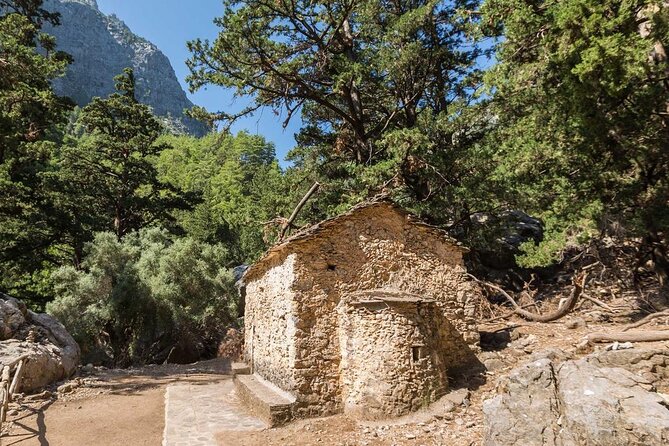 Samaria Gorge Hiking from Chania with Professional Hiking Guide - Pace, Crowds, and Knee-Saving Reality