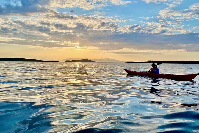 Sea Kayak Tour of Chania’s Old Venetian Port - Price and value: what $113.36 really buys you