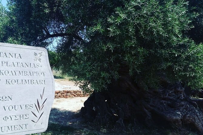 Sips of Crete: Flavors, Legends & Hidden Gems - Cretan Brewery S.A.: beer tasting in the Cretan countryside