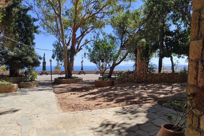 Sips of Crete: Flavors, Legends & Hidden Gems - Anoskeli Winery Olive Mill: from tree to bottle