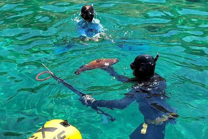 Spearfishing in Chania, Crete (price is per group) - Key Things You’ll Notice on This Chania Spearfishing Trip