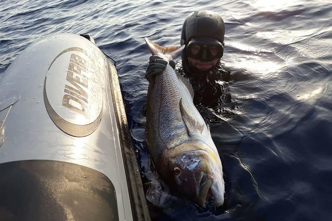 Spearfishing in Chania, Crete (price is per group) - Price and Value: $780.99 Per Group (Up to 2)