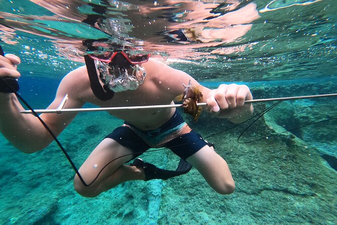 Spearfishing in Chania, Crete (price is per group) - Meeting at Defkalionos 425, Staying Close to Town