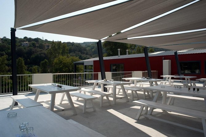 Wine, Beer, Olive Oil Tasting Private Tour (price per group of 6) - Vouves Monumental Olive Tree: a short, free icon stop