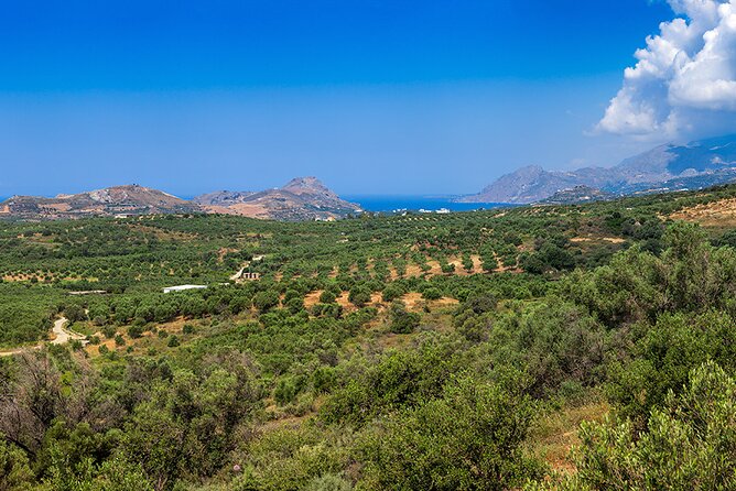 Wine, Beer, Olive Oil Tasting Private Tour (price per group of 6) - Maleme WWII sites and the German cemetery: optional history with time to think