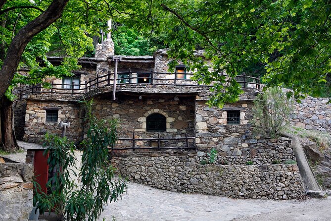 Wine & Olive Oil Tour with Lunch at Milia Mountain Retreat - Vouves Olive Tree Museum: more than a 3,000-year photo