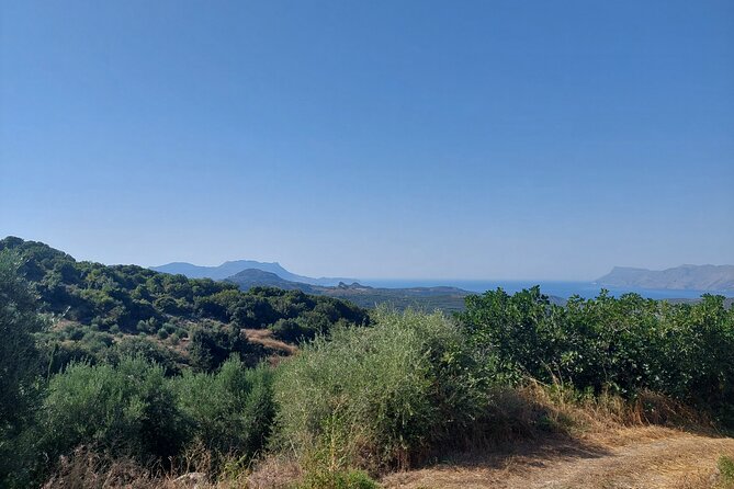 Wine Tasting: Meet the Cretan Vineyard at West Chania - The Winemaking Story You’ll Hear While You Taste