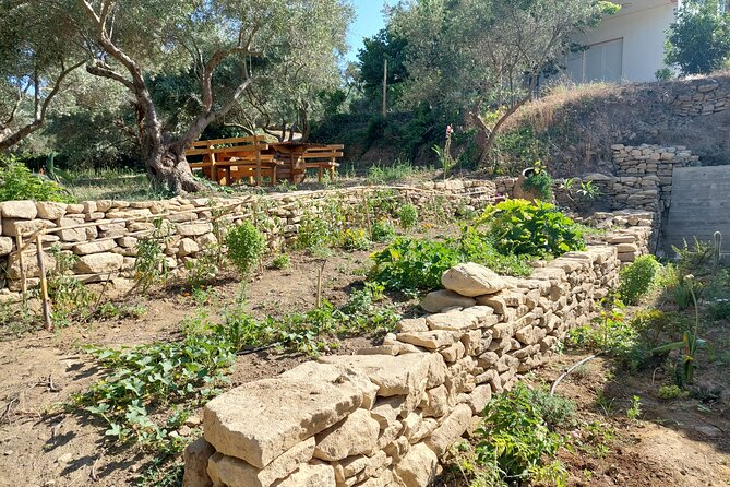 Wine Tasting: Meet the Cretan Vineyard at West Chania - Should You Book Meet the Cretan Vineyard in Chania?
