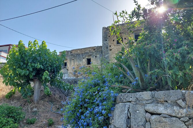 Wine Tasting: Meet the Cretan Vineyard at West Chania - Food Pairings That Actually Match: Cheese, Pies, Honey, Olive Oil